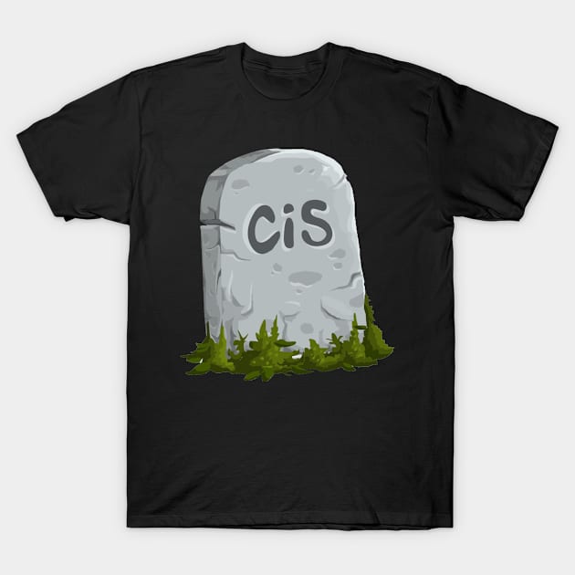 Cisgender Gravestone T-Shirt by VernenInk